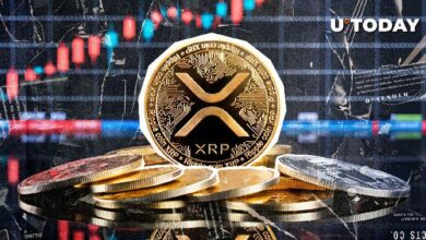 قفزة كبيرة في تفعيل محافظ XRP تزامناً مع تطلع السعر إلى $2 - اكتشف التفاصيل الآن!