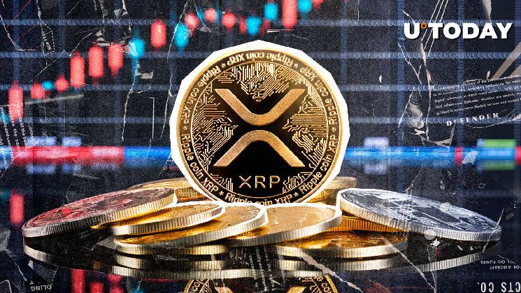 قفزة كبيرة في تفعيل محافظ XRP تزامناً مع تطلع السعر إلى $2 - اكتشف التفاصيل الآن!