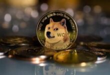 حيتان دوجكوين تواصل الشراء - مؤشرات DOGE تكشف عن بقاء الطلب قويًا