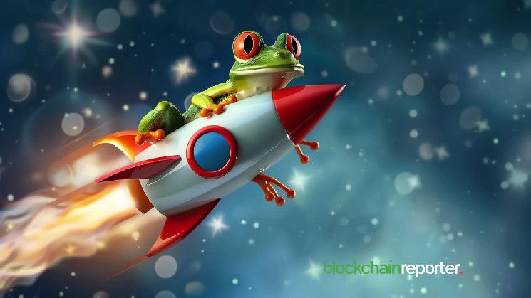 أرباح ضخمة من $PEPE: حول $241.5K إلى $7.53M في عام من التحركات الذكية - اكتشف السر الآن!