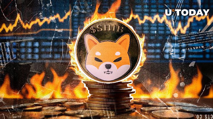 حرق عملات SHIB يرتفع بنسبة 319,571% — اكتشف الآن الأسباب!