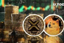 لا تزال XRP ودوغ كوين (DOGE) في صعود: اكتشف المقياس الرئيسي الآن!