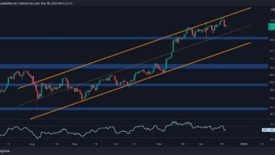 تحليل سعر البيتكوين: هل يواجه BTC تراجعًا ممتدًا إذا فقد هذا المستوى؟