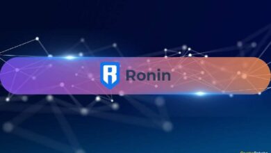 نمو قيمة TVL في Ronin بنسبة 149٪ سنويًا بفضل زيادة سعر الرمز RON بنسبة 30٪ - اكتشف التفاصيل الآن!