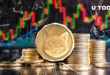 شيبا إينو (SHIB) تستهدف تسوية هائلة بنحو 35 تريليون من تراجع SHIB! اكتشف التفاصيل الآن