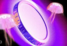 عملة Raydium (RAY) تتحدى اتجاه السوق وترتفع لأعلى مستوى في 4 سنوات - اكتشف التفاصيل الآن!