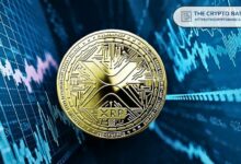 محلل يتوقع مكاسب ضخمة لـ XRP هذا الشهر: اكتشف أقوى مخطط شهري تصاعدي لـ XRP!