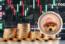 عملة dogwifhat (WIF) تتفوق على أفضل 100 عملة رقمية بارتفاع 16% - اكتشف المزيد!