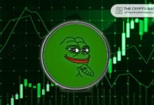 تحليل PEPE: هل ستخترق الانتعاشة حاجز $0.000020؟ اكتشف الآن!