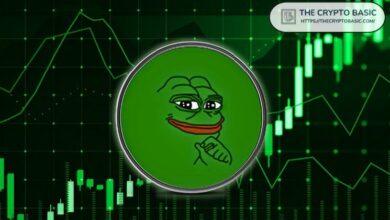 تحليل PEPE: هل ستخترق الانتعاشة حاجز $0.000020؟ اكتشف الآن!