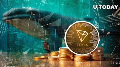 انطلاقة هائلة لـ TRX ترون بنسبة 253% بتحركات الحيتان وسط تصفية بقيمة 359 مليون دولار – اكتشف التفاصيل الآن!