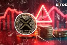 تشكّل أول إشارة هبوطية لـXRP في 2025: اكتشف التفاصيل الآن