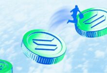 سولانا (SOL) تستعد لانخفاض تحت 210 دولار مع تلاشي جنون العملات المشفرة الميم: اكتشف التفاصيل