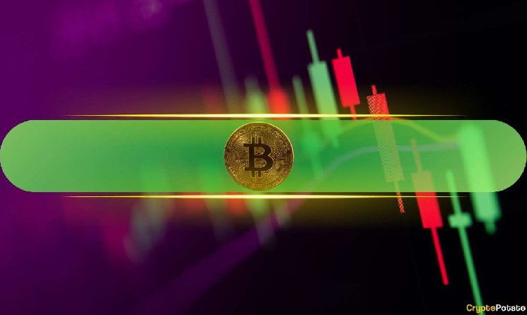 ترامب يتفوق على شيب في معركة العملات الميمية، وبتكوين تقترب من 105 ألف دولار (شاهد التفاصيل)