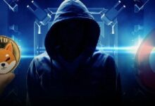 هل أطلق شيبا إينو شي كوين؟ الفريق يوضح الحقائق كاملة!