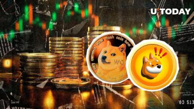 دوجكوين (DOGE) ثاني أفضل أداء ضمن أفضل 100 عملة: اكتشف كيف يتبعها بونك (BONK)