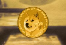 دوجكوين "يبدو بوضوح مندفعًا" - نسبة DOGE/BTC تكشف عن تراكم قوي | اكتشف المزيد الآن