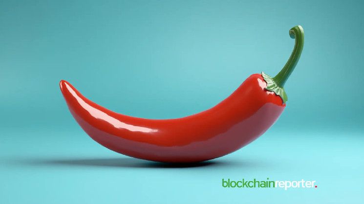 بروتوفاير تعزز أمان أصول تشيليز بدمج محفظة آمنة - اكتشف التفاصيل!