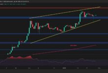 تحليل سعر ريبل: تشكيل نمط صعودي وتحقيق زيادة متوقعة إلى 4 دولارات - اكتشف التفاصيل!