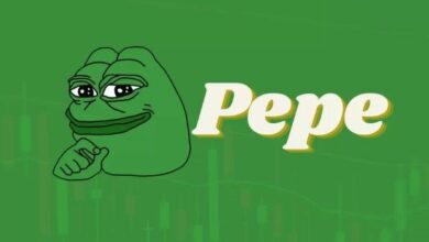 PEPE يتجه نحو القاع بعد انهيار السوق، ويدخل الموجة 3 مع وعود بزيادة 500% - اكتشف المستقبل الآن!