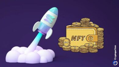 سولانا تعزز سوق NFT بتداول قياسي للنصف الثاني من 2024 - اكتشف التفاصيل!