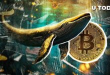 تحرك غامض لـ 800 مليون دولار من البيتكوين مع ارتفاع سعر BTC: اكتشف ما يحدث