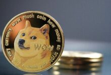 إشارة صعودية لدوجكوين: الحيتان تشتري 1.08 مليار دولار من DOGE - اكتشف المزيد!