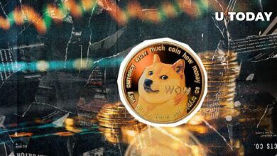 دوجكوين (DOGE) يكتسب دعماً قوياً على بُعد 100% فقط من أعلى مستوى له! اكتشف التفاصيل الآن