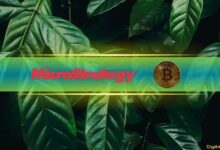 سعر البتكوين يتجاوز 100 ألف دولار مع إعلان مايكروستراتيجي عن أحدث عملية شراء - اكتشف التفاصيل!