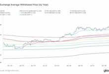 يحقق في مستثمرو البيتكوين مكاسب بنسبة 40% في المتوسط ​​خلال العام الماضي - اكتشف المزيد الآن!