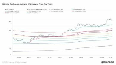 يحقق في مستثمرو البيتكوين مكاسب بنسبة 40% في المتوسط ​​خلال العام الماضي - اكتشف المزيد الآن!