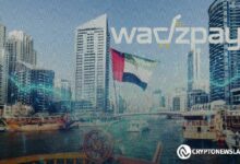 تحليل نمو WadzCoin البطيء نحو انفجار اقتصادي: اكتشف التفاصيل!