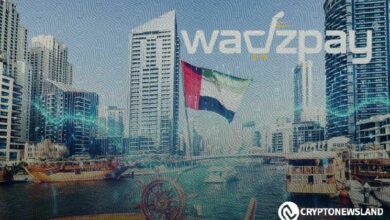 تحليل نمو WadzCoin البطيء نحو انفجار اقتصادي: اكتشف التفاصيل!