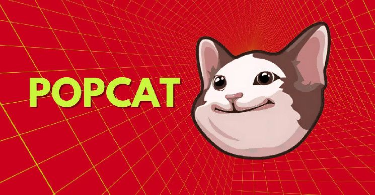 سعر POPCAT ينخفض تحت $0.65، هل يقترب انهيار بنسبة 50%؟ اكتشف الآن!