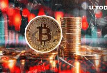 هل وصل البيتكوين (BTC) إلى القاع أخيرًا؟ اكتشف الآن!