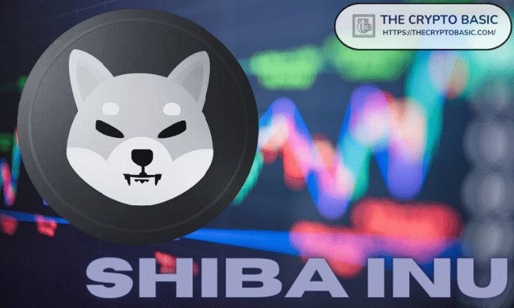 دخول شيبا إينو في شراكة ملحمية مع أسترا نوفا – اكتشف التفاصيل!