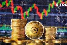 2.9 مليار ستيلر (XLM) في 24 ساعة: اكتشف ما يحدث الآن!