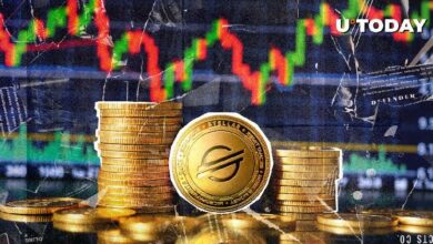 2.9 مليار ستيلر (XLM) في 24 ساعة: اكتشف ما يحدث الآن!