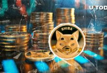 أكبر "سكين ساقط" لعملة شيبا إينو (SHIB) في 2025: اكتشف الآن!
