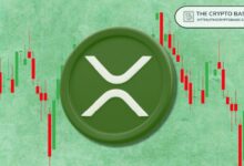 هل يستعد XRP لارتفاع؟ اكتشف إعداد الصعود الأكثر تفاؤلاً مع المحلل