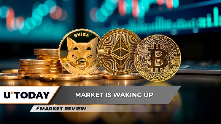 سعر إيثريوم (ETH) يتراجع أخيرًا! توقع انعكاس مزدوج القاع لشيب إنو (SHIB) وزيادة حجم بيتكوين (BTC) تدفع التحركات الصاعدة