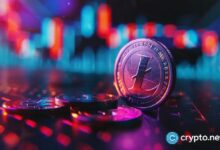 ارتفاع سعر لايتكوين مع زيادة احتمالات الموافقة على صندوق LTC ETF - اكتشف المزيد الآن!