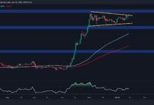 تحليل سعر الريبل: هل يمكن لـ XRP تجاوز 3 دولارات بعد قفزة يومية بنسبة 8%؟ اكتشف الآن!