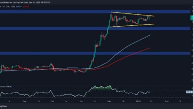 تحليل سعر الريبل: هل يمكن لـ XRP تجاوز 3 دولارات بعد قفزة يومية بنسبة 8%؟ اكتشف الآن!