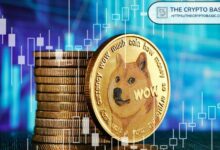 إلى أي ارتفاع قد تصل دوجكوين؟ تعرف على توقعات أسعار DOGE من 2025 إلى 2030!