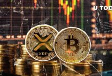 ارتفاع سعر XRP وسط تباين صعودي مقابل البيتكوين (BTC) - اكتشف التفاصيل الآن!