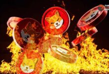 هل سيصل سعر SHIB إلى $0.00004029 بعد زيادة معدل الحرق بنسبة 600%؟ اكتشف التفاصيل!