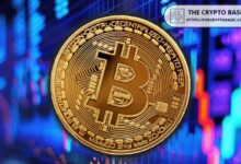 إليك سبب استمرار سوق صعود البيتكوين وفقًا لتحليلات Glassnode