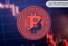 تحذير من بيتر براندت: هل سينخفض سعر البيتكوين إلى 42 ألف دولار؟ اكتشف الآن!