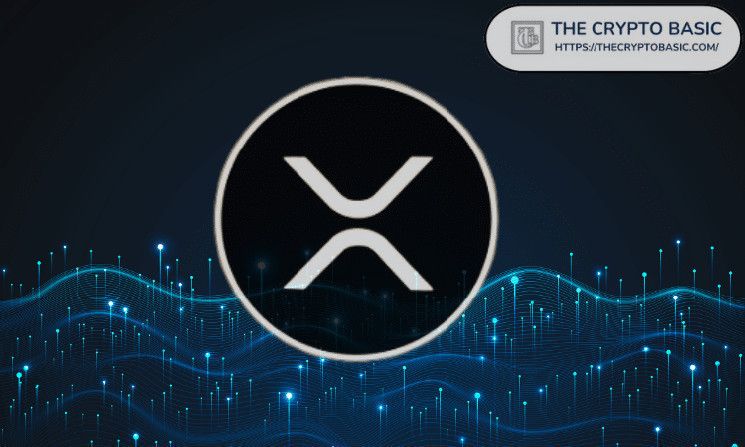 خبير يوضح 5 أسباب تُظهر أن XRP ليست عملة مزحة بل عملة احتيال - اكتشف الحقيقة الآن!